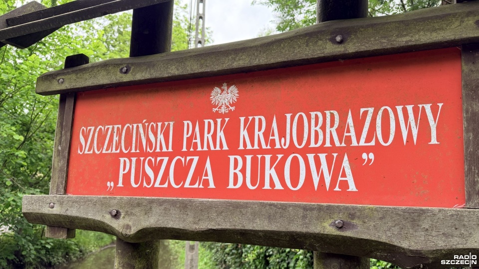 Fot. Weronika Łyczywek [Radio Szczecin]