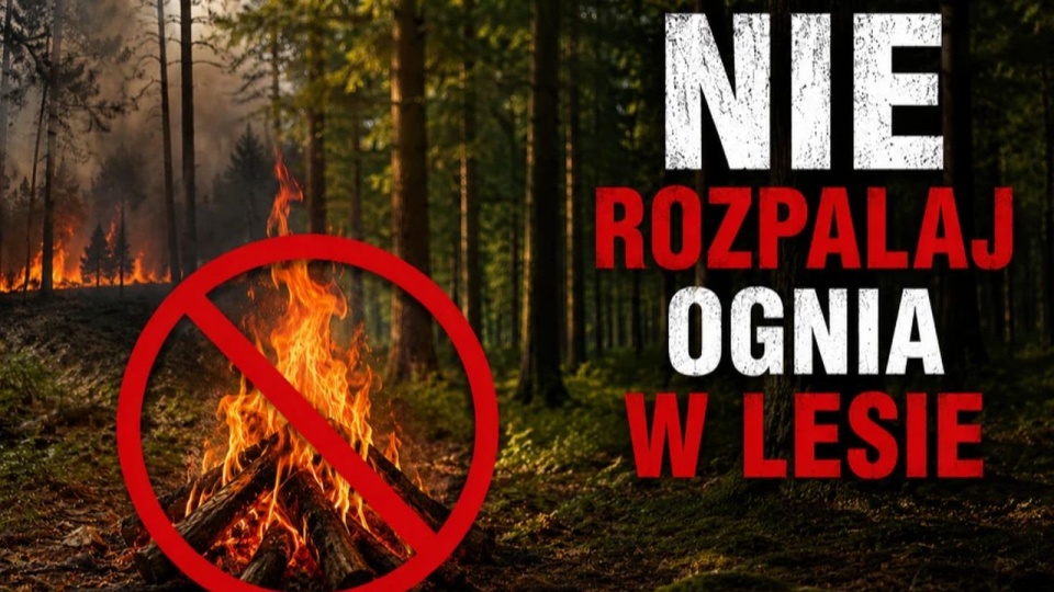 Zagrożenie pożarowe w lasach. Służby i urzędnicy apelują o rozsądek