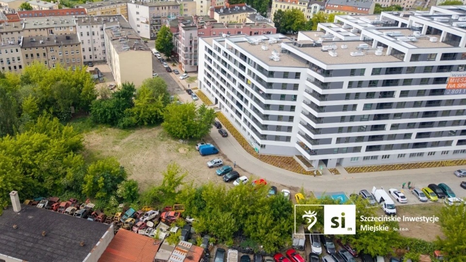 Rusza wycinka części drzew na ul. Emilii Plater w Szczecinie