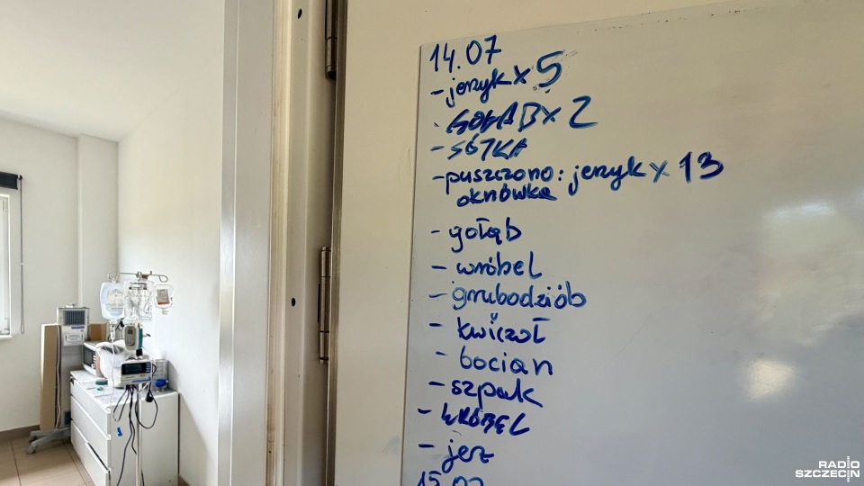 Lista zwierzęcych pacjentów. Fot. Weronika Łyczywek [Radio Szczecin]