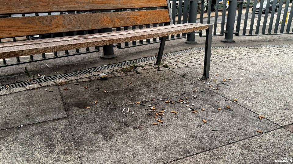 Szczecin wita...niedopałkami [ZDJĘCIA]