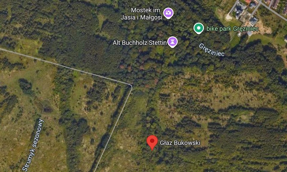 Spacer z przewodnikiem po Alt Buchholz