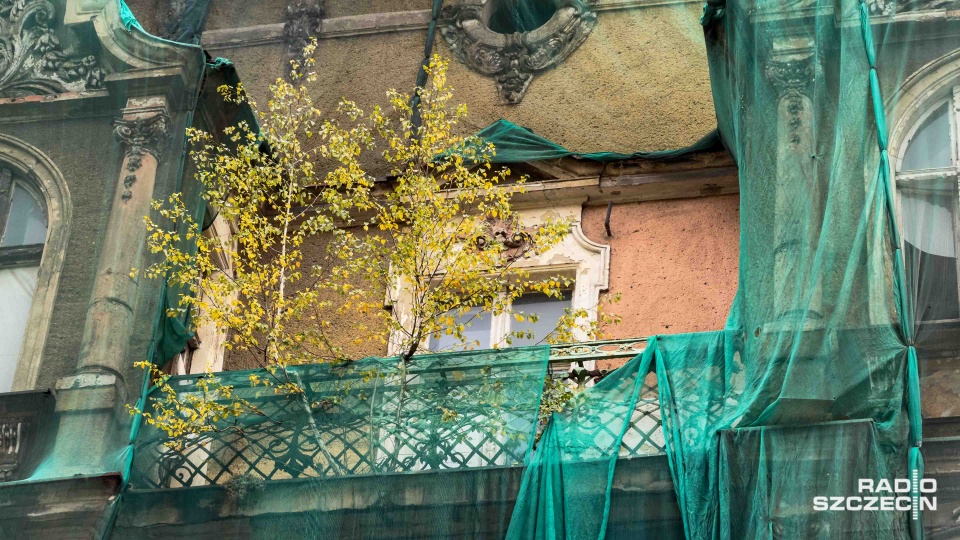 Brzoza na tarasie "tykającą bombą"