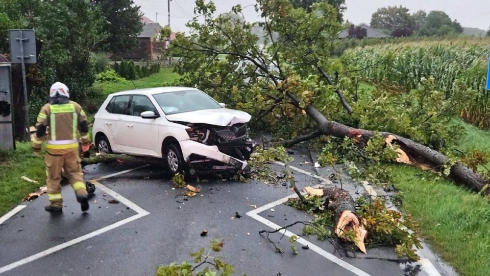 Straż Pożarna: ponad 7700 interwencji po nawałnicach