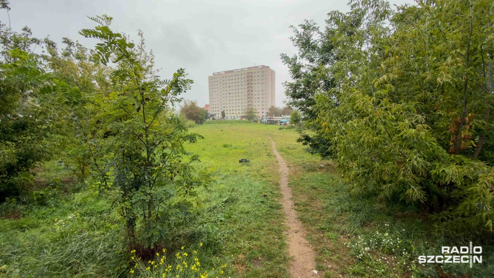 Miasto Szczecin chce sprzedać teren przy Targowisku Turzyn [ZDJĘCIA]