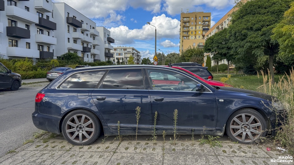 Fot. Maciej Papke [Radio Szczecin]