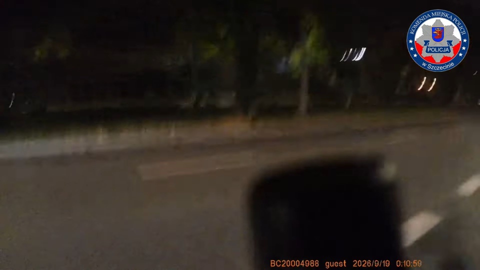Policjanci zatrzymali nastolatka, który zaatakował mężczyznę maczetą [WIDEO]
