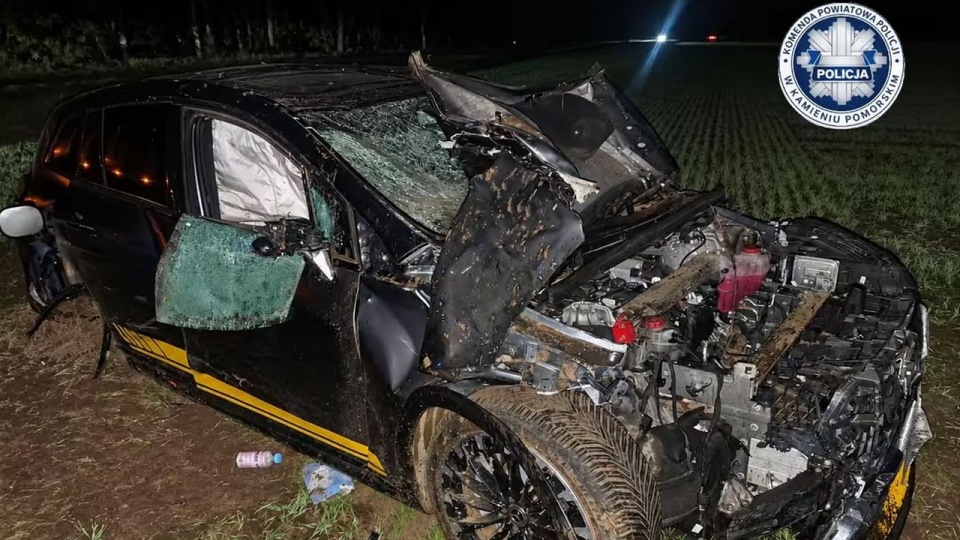 Nietrzeźwy kierowca rozbił auto. Z pojazdu uciekł pies