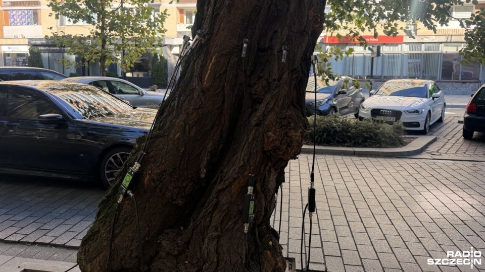 Fot. Julia Nowicka [Radio Szczecin]