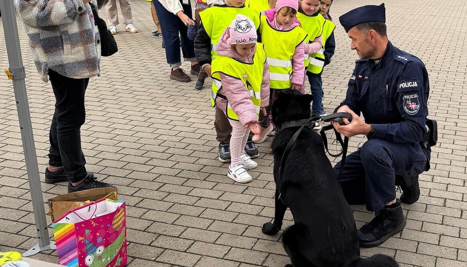 Fot. Komenda Powiatowa Policji w Myśliborzu