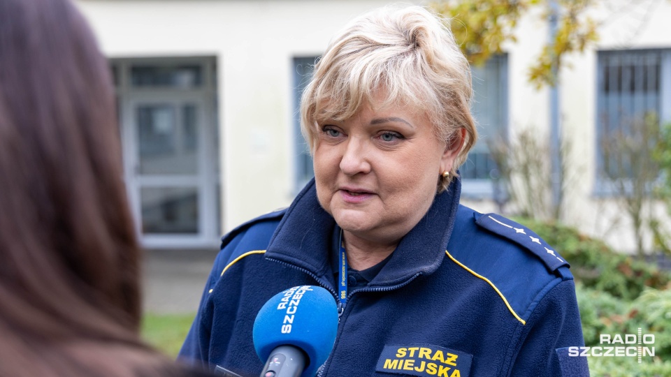 Szczecin. Intensywne dni Straży Miejskiej